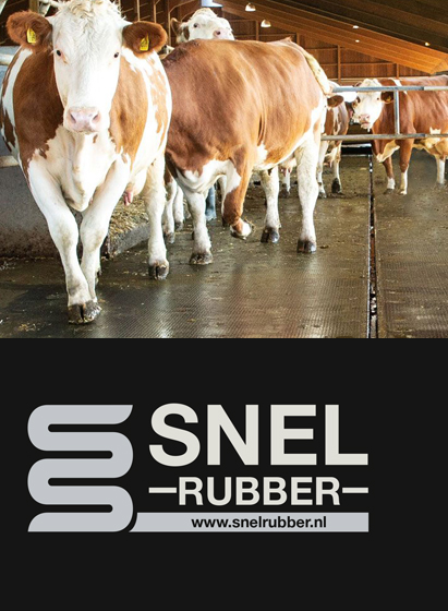 foto-logo-rubber